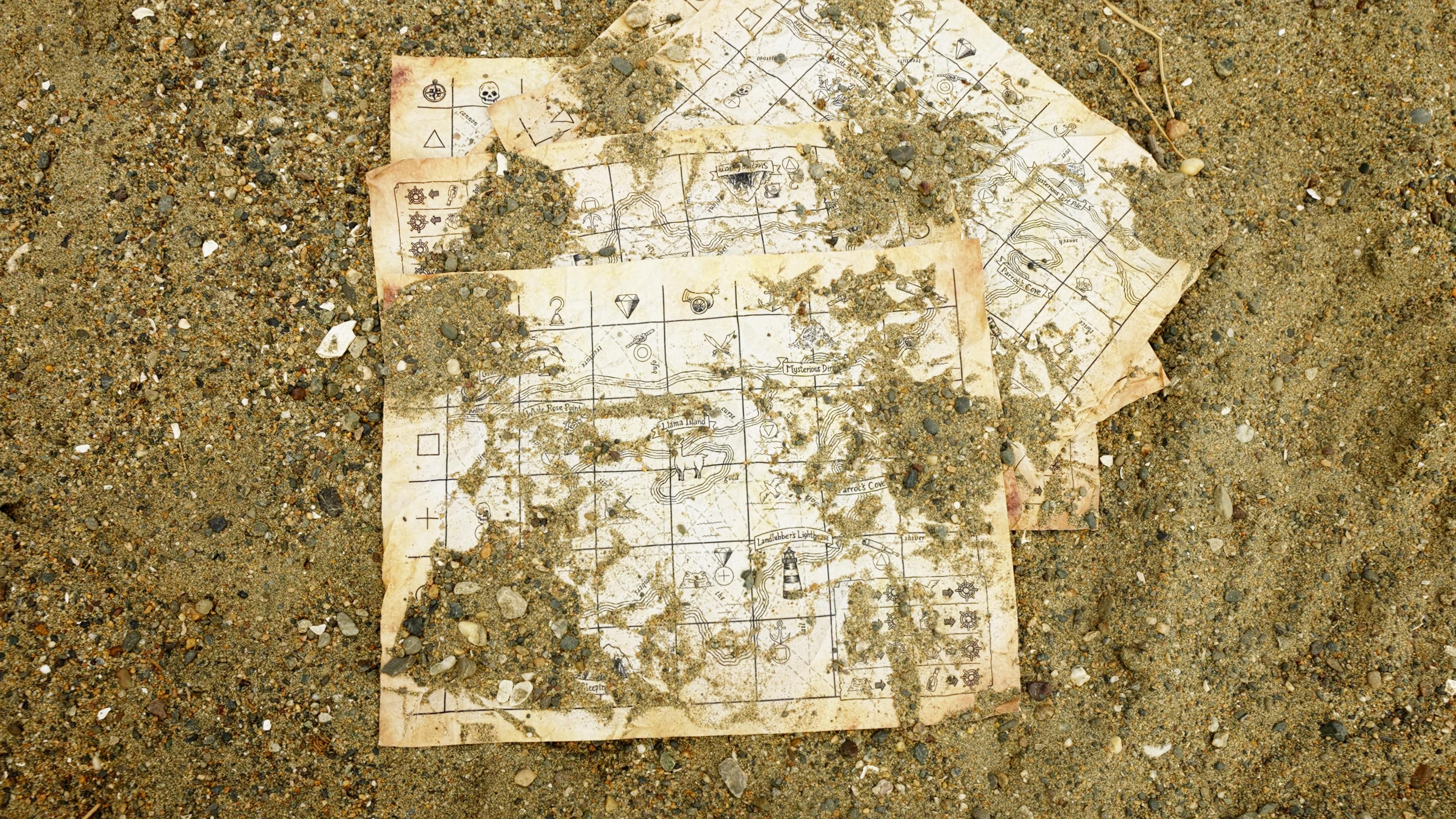 Campus-Wide Hunt Experience gallery image 5