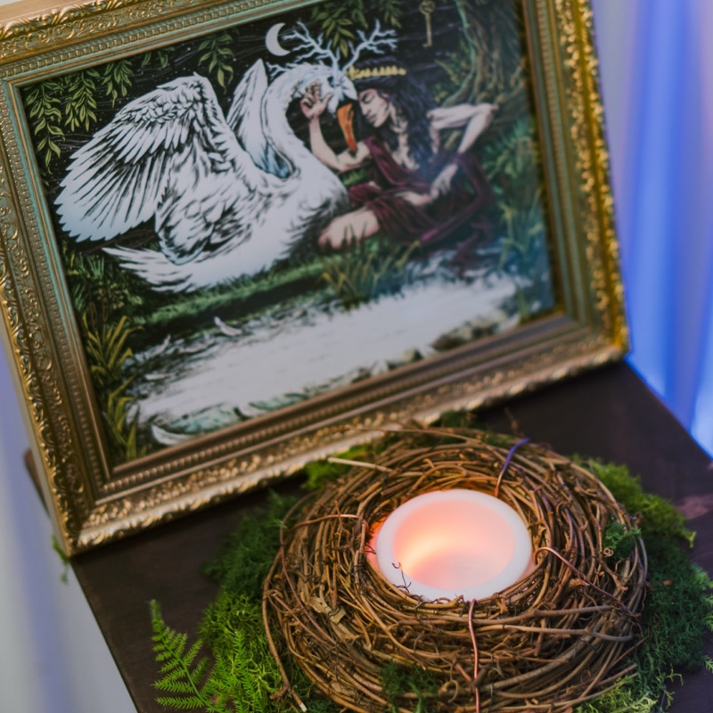 Holiday Party: Hotel Leda cover